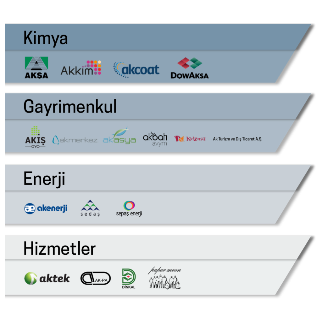 aktek bilişim akkök holding